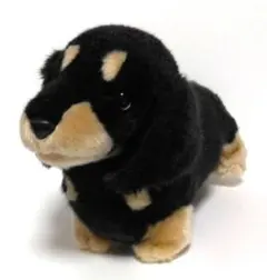 レア レガロ REGALO ダックスフンド 犬 ぬいぐるみ まとめ売り - メルカリ