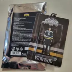 ウォヌ アイドル