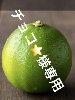 ２本セット　餃子の王将　クリアボトル&ボトルケース　キャンペーン景品