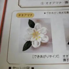 Item thumbnail for item 6b12b8f0-deb3-417e-ae98-86c525a65944