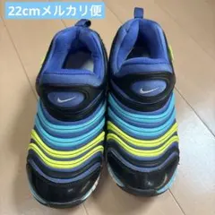 Nike ダイナモフリー　22cm
