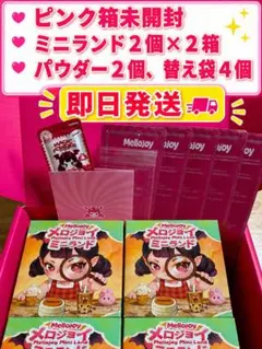 Mellojoy メロジョイ ミニランド 未開封ボックス（24個） - メルカリ