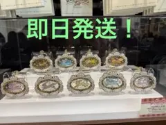 ポケパークカントー限定　イーブイズ　アクリルキーホルダーフルコンプセット