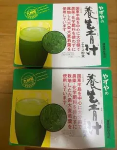 야즈야 큐링 아오지루 레귤러 사이즈 2 박스 세트