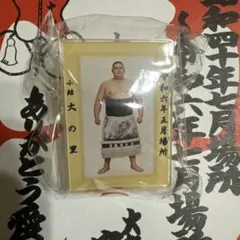 大の里 横綱　優勝額風アクリルバッジ