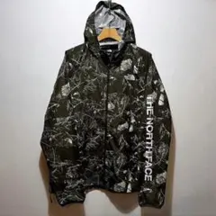 Item thumbnail for item c7f1460f-b3c9-4206-aae3-0a23615c8c38