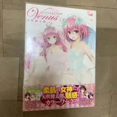 toloveるダークネス　画集　新品未開封　矢吹健太朗 2025年最新】to loveるダークネス 画集の人気アイテム - メルカリ