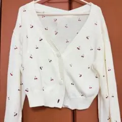 Item thumbnail for item 1dfde429-e43d-4513-b2a4-c28a29bde410