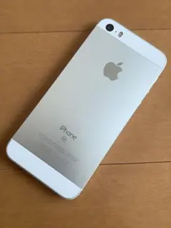 無音カメラ iPhone SE 第1 海外版 64GB シルバー SIMフリー