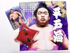 Item thumbnail for item e984e0a7-e8e3-4d55-a042-8241f458571e