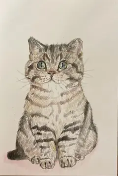 dolls country様 リクエスト 3点 まとめ商品