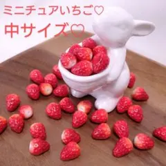 POPBEBE@ぽこ様 リクエスト 2点 まとめ商品