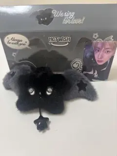IVE レイ トレカ 3枚セット ポーチ Miseki Seoul POPUP - メルカリ