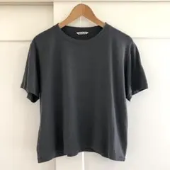 AURALEE EXTRA FINE WOOL JERSEY TEE グレー 1のサムネイル