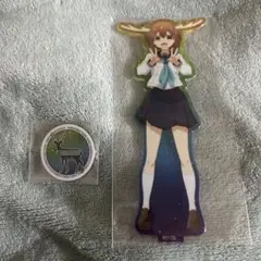 2025年最新】しかのこのこのここしたんたん アクスタの人気