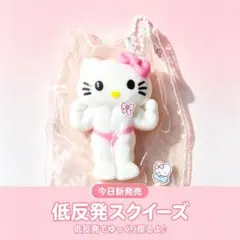 2026年最新】キティ スクイーズの人気アイテム - メルカリ
