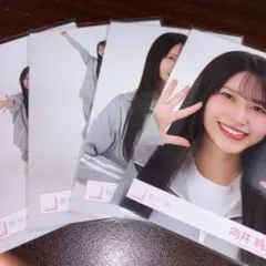 向井純葉 櫻坂46 ジャージ 生写真 4種コンプ