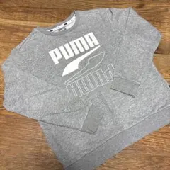 【PUMA】 グレー トレーナー ASIA 140