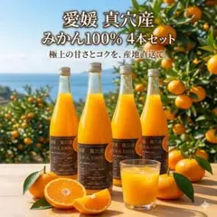 【組合せ自由】12本セット ストレートジュース 温州みかん 不知火 果汁100% 組合せ自由】1L×4本 ストレートジュース 温州みかん 不知火 果汁100