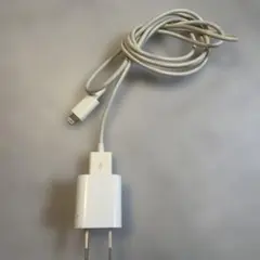 Apple Lightningケーブルと充電器セット