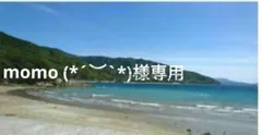 ひい様専用 乾燥ヒジキ100g（50g×2袋）天然・愛媛県産