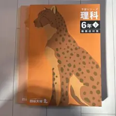 Item thumbnail for item dd4e01ef-3cdf-4319-958c-3935e4aa72e7