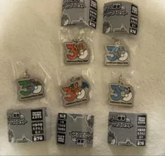 ポケモン 30周年 メタルチャームマスコット ５種