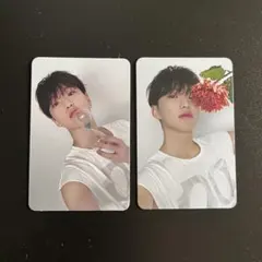 seventeen セブチ ホシ トレカ アルバム DEAR盤 ランダム 封入