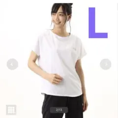 THE NORTH FACE F/S Logo Design Tee Lサイズ