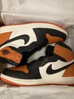 シャタバ 27cm Nike AJ1 Shattered Backboard