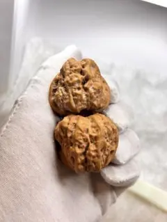 Item thumbnail for item 8dedb10d-3f17-4b79-8712-951ceb2648d5