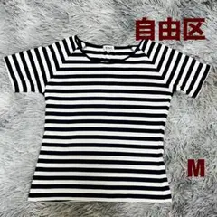 自由区 ストライプ 半袖Tシャツ M クロップドのサムネイル
