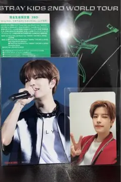 Stray Kids【スンミン】maniacトレカ・特典