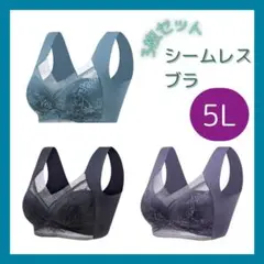 【5L】3枚セット シームレスブラ ノンワイヤー 大きいサイズ ナイトブラ