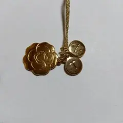 Item thumbnail for item 5af54f35-3d45-42a6-b601-0e684100c35d