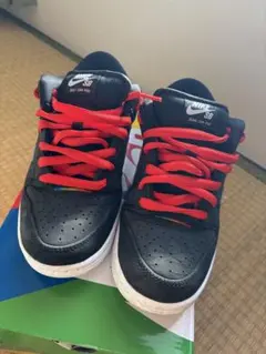 ポラロイド×ナイキ SB ダンクロー