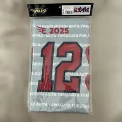 12 ゴンザレス タオル 2025年モデル　楽天イーグルス