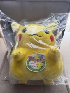 ポケットモンスター ポケモン30周年記念 おかえり!ピカチュウ1/1