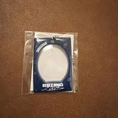 Item thumbnail for item dd72e156-ed55-4ef6-86fc-0148a6a41e26