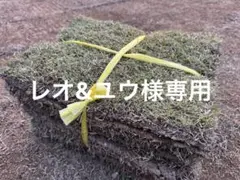 レオ&ユウ様専用②