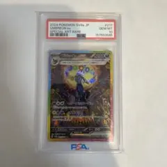 高騰中！ブラッキーex SAR psa10 テラスタルフェスex 217/187 - メルカリ