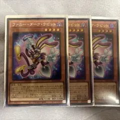 ファニー・ダーク・ラビット シク3枚セット - メルカリ