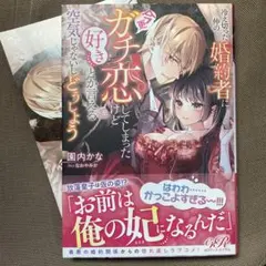 Item thumbnail for item 1c88b837-d67a-4f10-b295-32c9e9884016