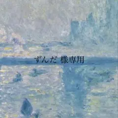 ずんだ様 リクエスト 2点 まとめ商品