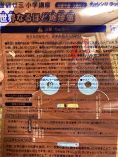 Item thumbnail for item 3796c7c4-96a5-459e-85c6-10797bdbabc6