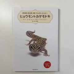 레오파드 게코를 더 잘 키울 수 있습니다!세이분도 신코샤