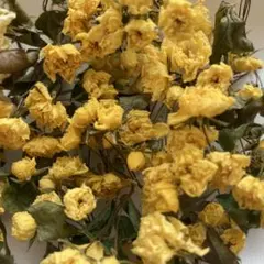 wakaba様 リクエスト 4点 まとめ商品