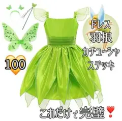 100【羽付き】新品 4点セット ティンカーベル プリンセス コスプレ ◆b