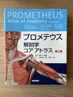 Item thumbnail for item 71cb6ee8-553f-4413-a5c4-c3e548e51477