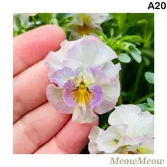 Hyuna Kim様 リクエスト 8点 まとめ商品